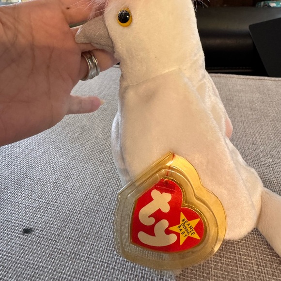 TY PARROT - Picture 4 of 8